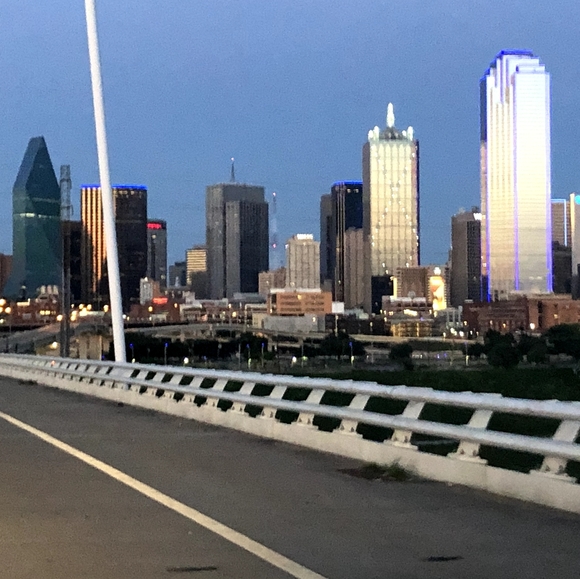 Meet your Posher, Cece! - Picture 3 of 3